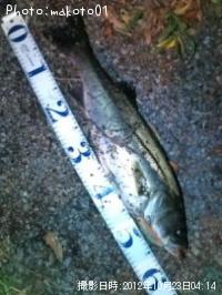 �����Х�