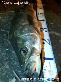 �����Х�