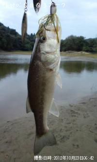 �֥�å��Х�