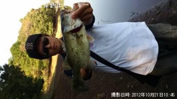 �֥�å��Х�