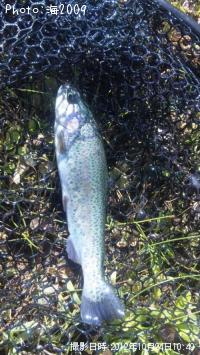 �쥤��ܡ��ȥ饦��