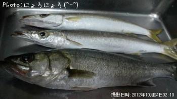 ���ޥ�