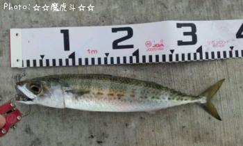 ���ޥ���