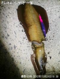 �����ꥤ��