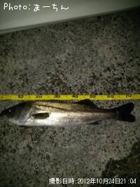 �������Х�