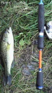 ¥Ö¥é¥Ã¥¯¥Ð¥¹