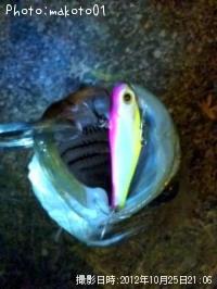 �����Х�