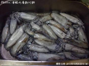 �����ꥤ��