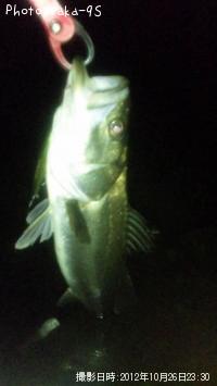 �����Х�