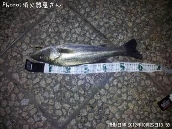 �����Х�