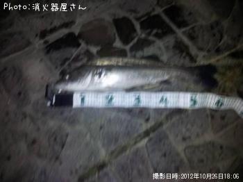 �����Х�