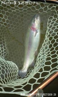 �쥤��ܡ��ȥ饦��