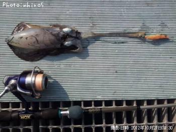 �����ꥤ��