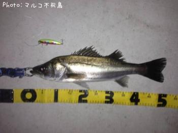 �����Х�