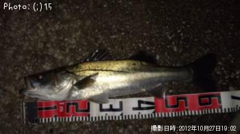 �����Х�