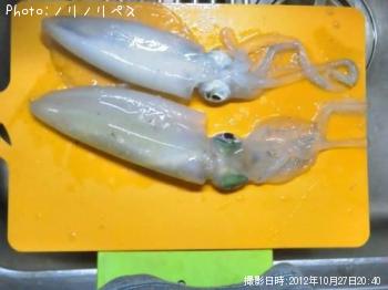 �����ꥤ��