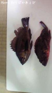 ��Х롢������