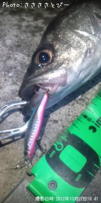 �����Х�