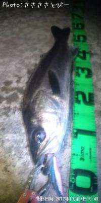 �����Х�