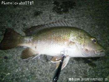 ���ޥե��ե�