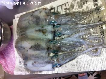 �����ꥤ��