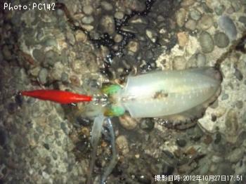 �����ꥤ��