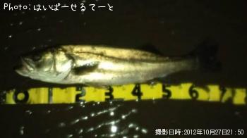 �����Х�