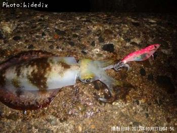 �����ꥤ��