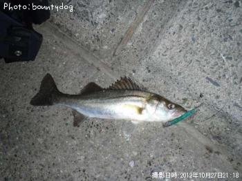 �����Х�