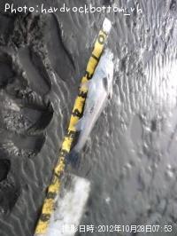 �����Х�