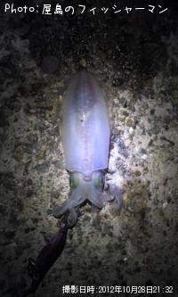 �����ꥤ��