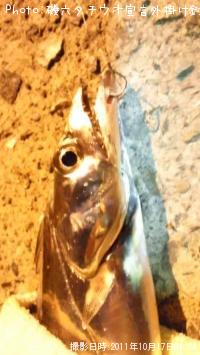 ����������������ݤ����