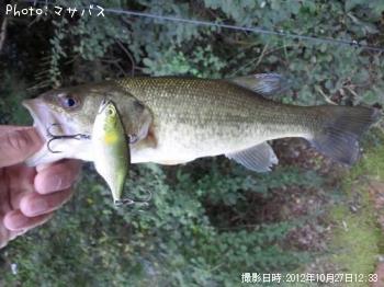 ¥Ö¥é¥Ã¥¯¥Ð¥¹