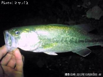 �֥�å��Х�