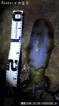 �����ꥤ��