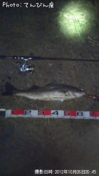 �����Х�