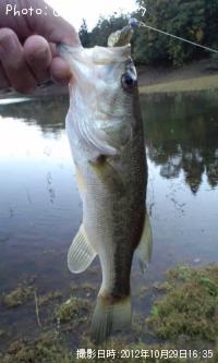 �֥�å��Х�