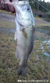 �֥�å��Х�