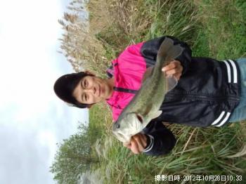 �֥�å��Х�