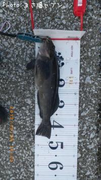 �����ʥ�