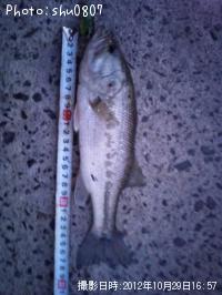 �֥�å��Х�