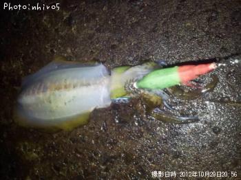 �����ꥤ��