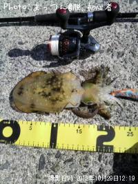 �����ꥤ��