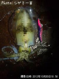 �����ꥤ��