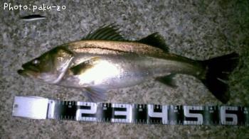 �����Х�