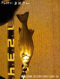 �����Х�