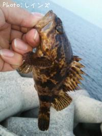 �����Υ���������