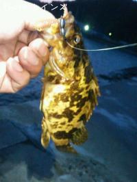 �����Υ���������