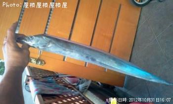 ¥¿¥Á¥¦¥ª¤À¤¼¡ª