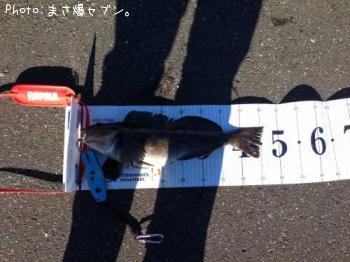 �����ʥ�